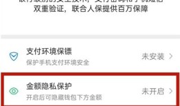 微信怎么关闭钱包金额隐私保护 微信关闭钱包金额隐私保护教程【详解】
