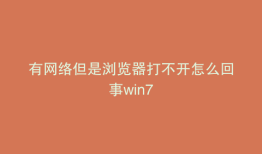 有网络但是浏览器打不开怎么回事win7