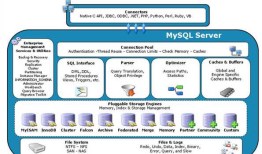 Mysql逻辑体系架构