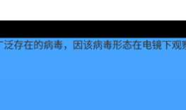 关于 Android 测量文字宽度的方法