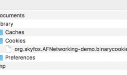 iOS htttp网络请求cookie的读取与写入(NSHTTPCookieStorage)