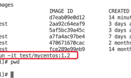 【Application】Docker DockerFile解析（五）