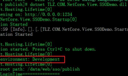 【转】asp.net core环境变量详解