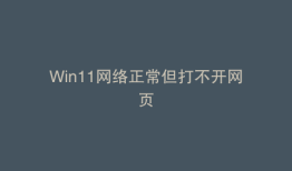 Win11网络正常但打不开网页