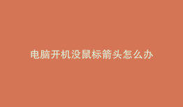 电脑开机没鼠标箭头怎么办