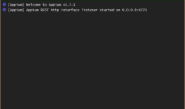 Appium-desktop安装与使用