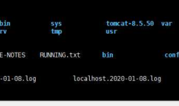 docker部署tomcat项目遇到 More than one fragment with the name [org_apache_tomcat_websocket]