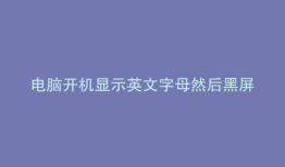 电脑开机显示英文字母然后黑屏