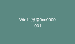 Win11报错0xc0000001