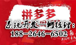 拼多多系统商城模式平台APP开发
