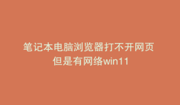 笔记本电脑浏览器打不开网页 但是有网络win11