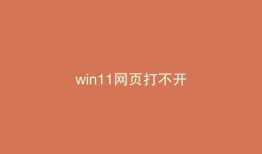win11网页打不开