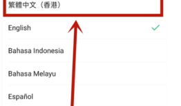 OPPO手机微信变成英文怎么调回中文