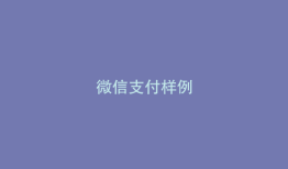 微信支付样例