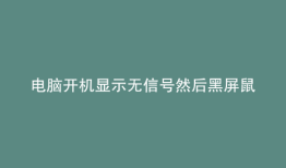 电脑开机显示无信号然后黑屏鼠标不亮