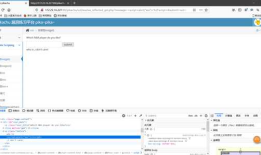 Web安全技术实验3