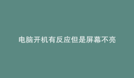 电脑开机有反应但是屏幕不亮