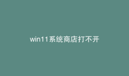 win11系统商店打不开