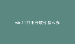 win11打不开软件怎么办