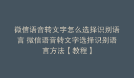微信语音转文字怎么选择识别语言 微信语音转文字选择识别语言方法【教程】