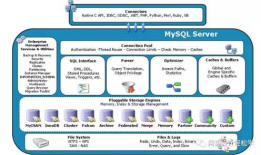 MySQL体系结构和存储引擎概述