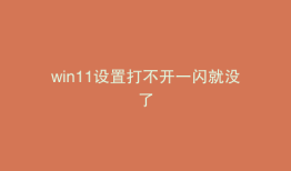 win11设置打不开一闪就没了