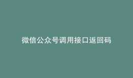 微信公众号调用接口返回码
