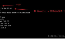 关于移动虚拟机后，linux网卡启动异常问题解决