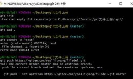 如何强制文件上传git仓库里