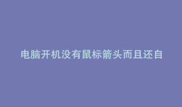 电脑开机没有鼠标箭头而且还自动关机