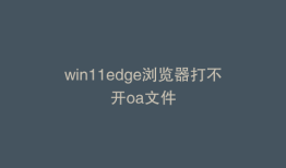 win11edge浏览器打不开oa文件