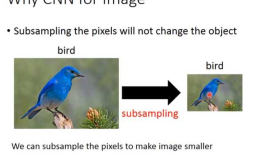 Convolutional neural network