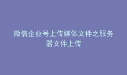 微信企业号上传媒体文件之服务器文件上传