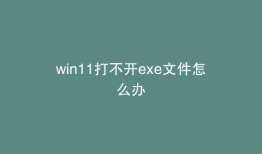 win11打不开exe文件怎么办