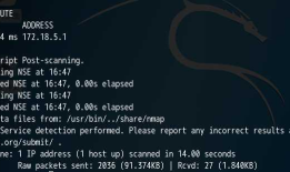 CTF--HTTP服务--命令执行