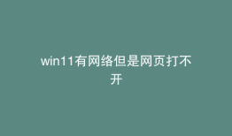 win11有网络但是网页打不开