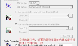 【loadrunner录制手机端功能】使用LR代理录制原理