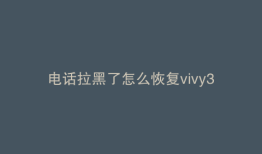 电话拉黑了怎么恢复vivy3