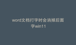 word文档打字时会消掉后面字win11