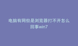 电脑有网但是浏览器打不开怎么回事win7