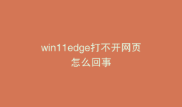 win11edge打不开网页怎么回事