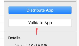 发布app上架testflight