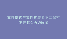 文件格式与文件扩展名不匹配打不开怎么办Win10