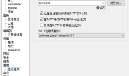 Telnet/SSH 客户端