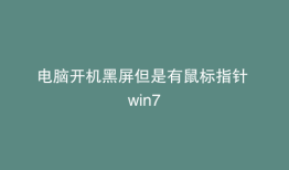 电脑开机黑屏但是有鼠标指针 win7