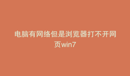 电脑有网络但是浏览器打不开网页win7