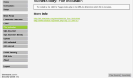 Ethical Hacking - Web Penetration Testing(5)