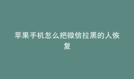 苹果手机怎么把微信拉黑的人恢复