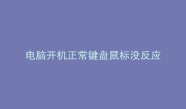 电脑开机正常键盘鼠标没反应