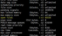 MongoDB 最大连接数 设置失效的异常分析